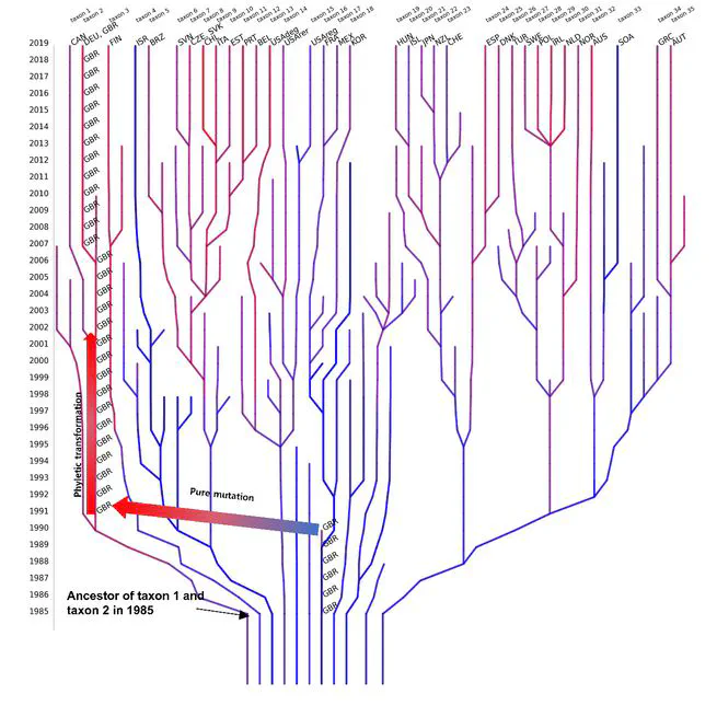 Drivers of institutional evolution: phylogenetic inertia and ecological pressure